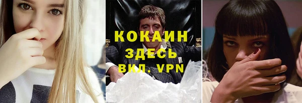 бошки Белокуриха