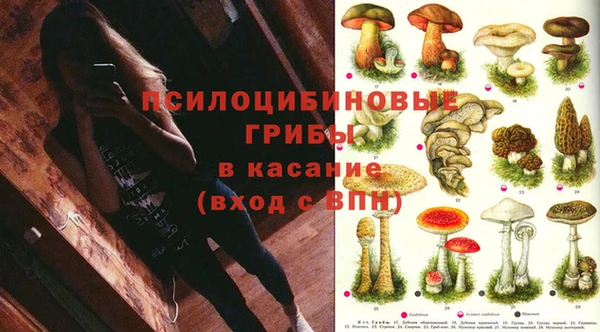 мет Балахна
