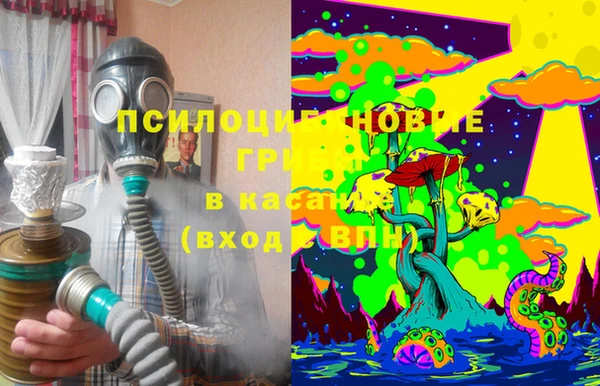 бошки Белокуриха