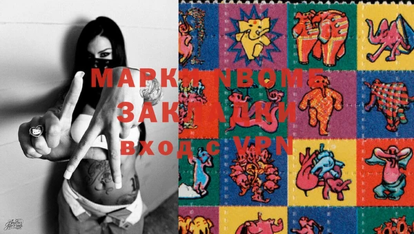 бошки Белокуриха
